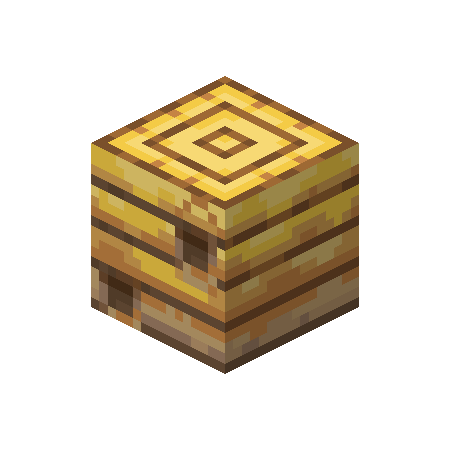 Bee Nest