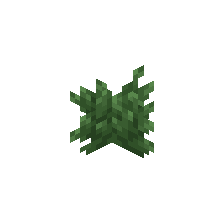 Bush