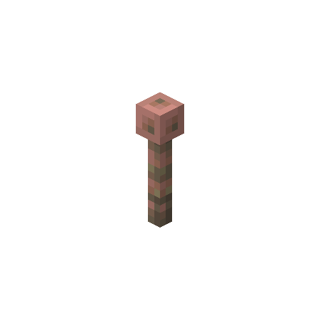 Exposed Lightning Rod