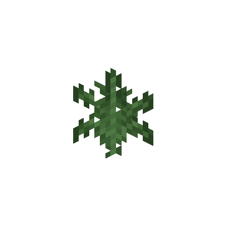 Fern