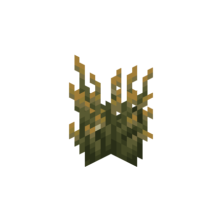 Firefly Bush