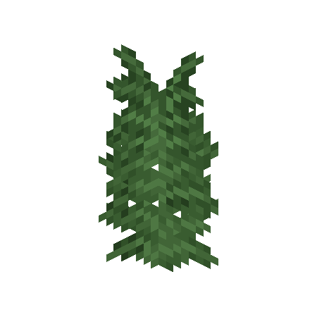 Large Fern