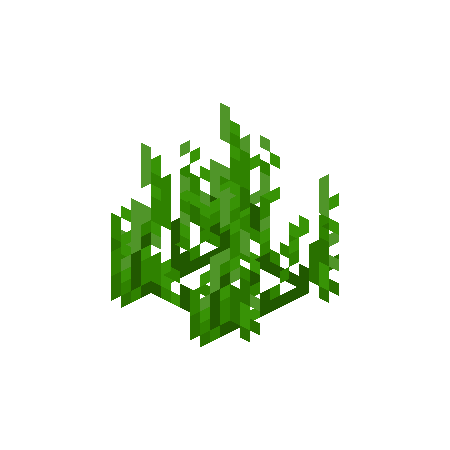 Seagrass