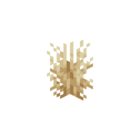 Tall Dry Grass