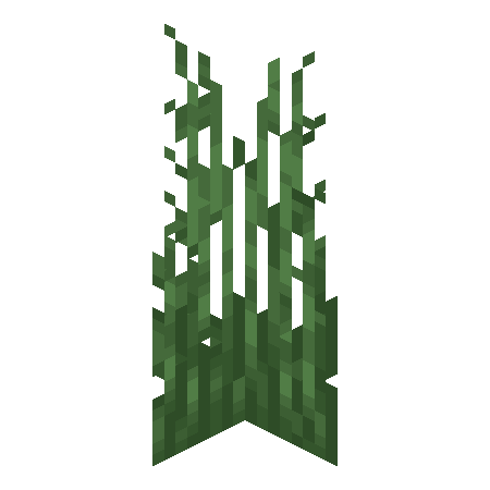 Tall Grass