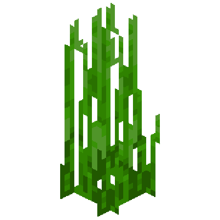 Tall Seagrass