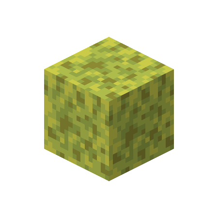Wet Sponge