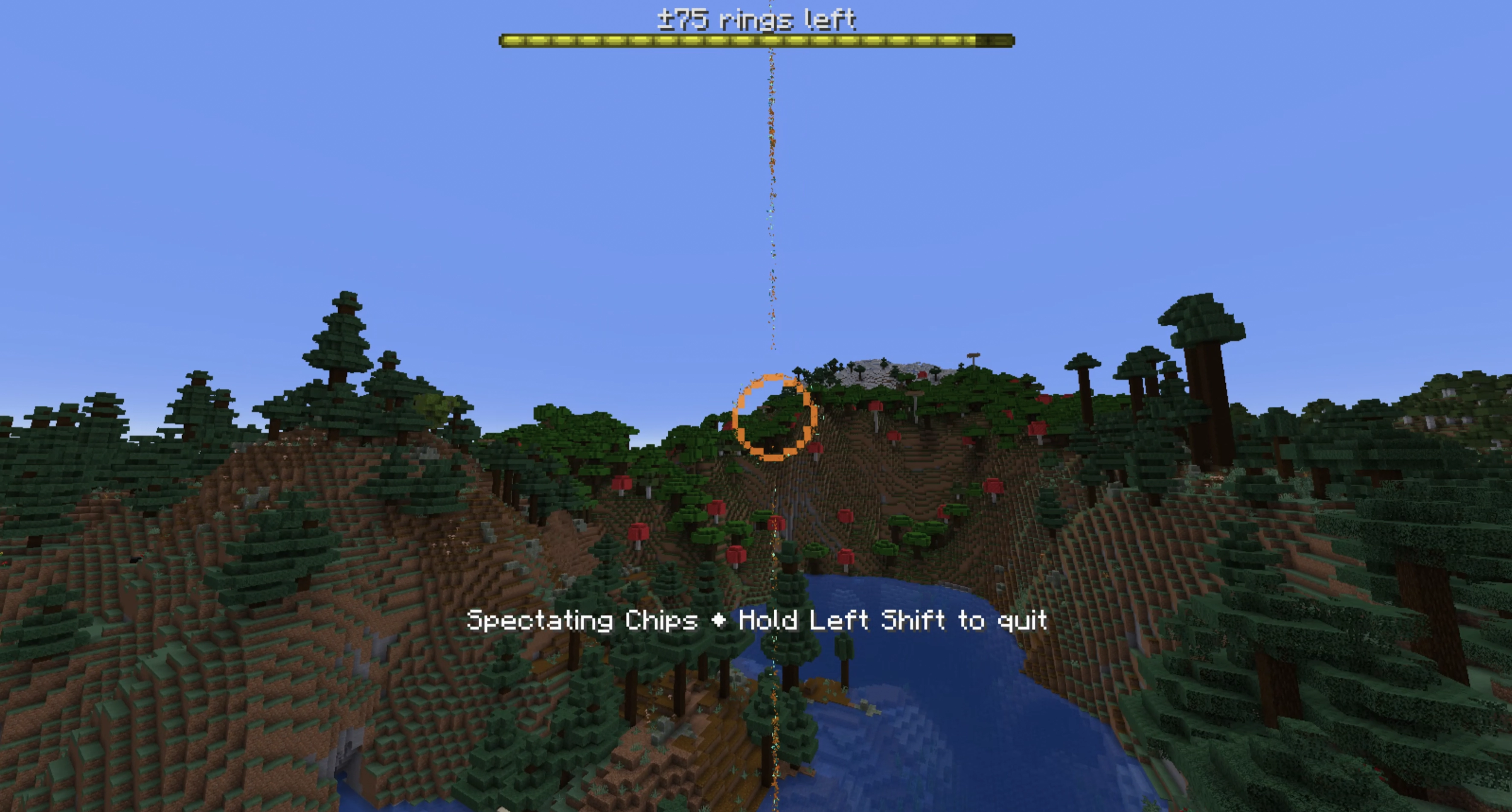 Image of a flight spectator